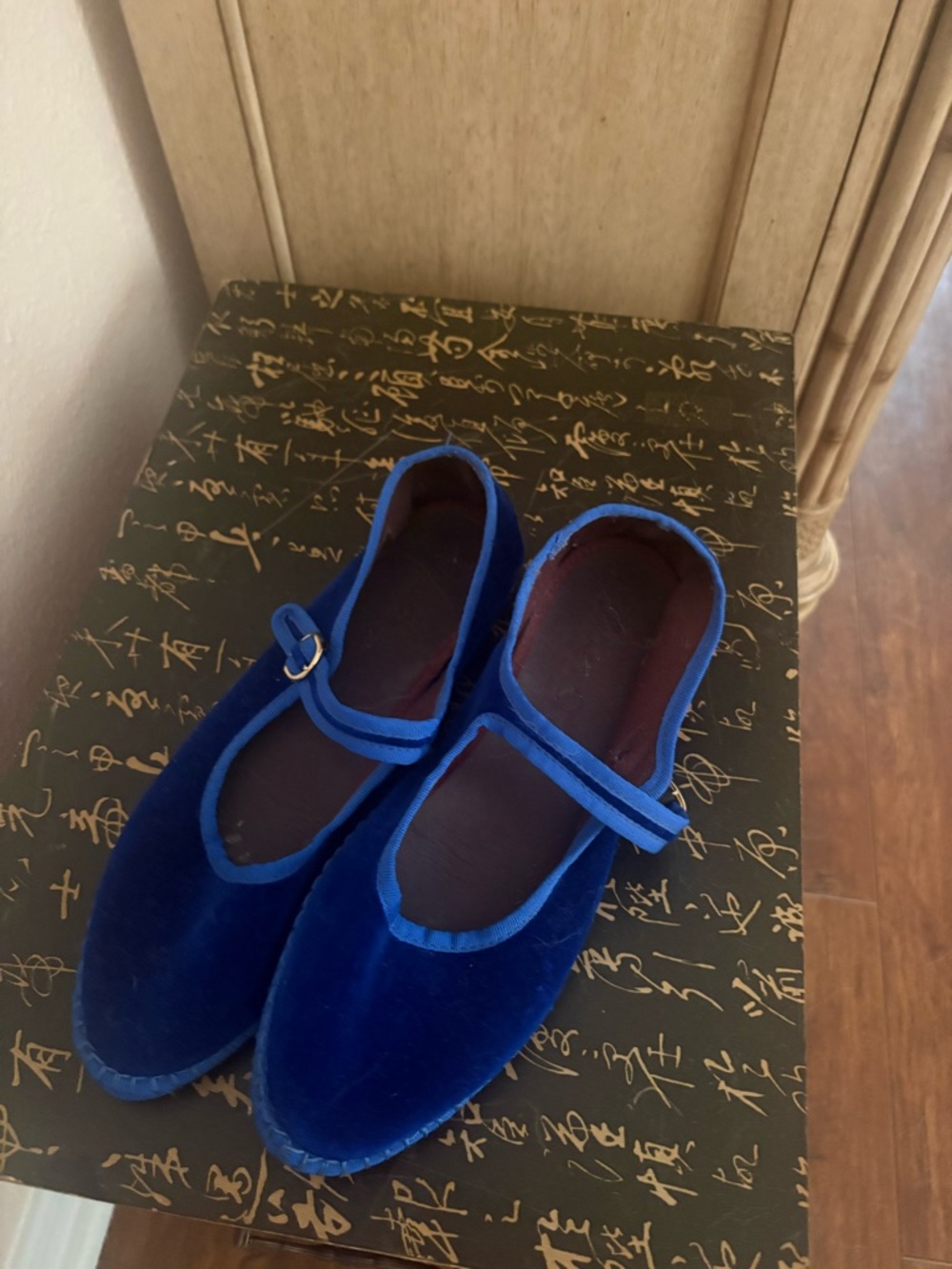 Flabelus Mary Jane flats